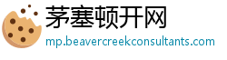 茅塞顿开网